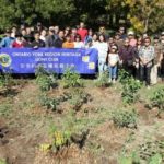 Heritage Lions Tree Planting
